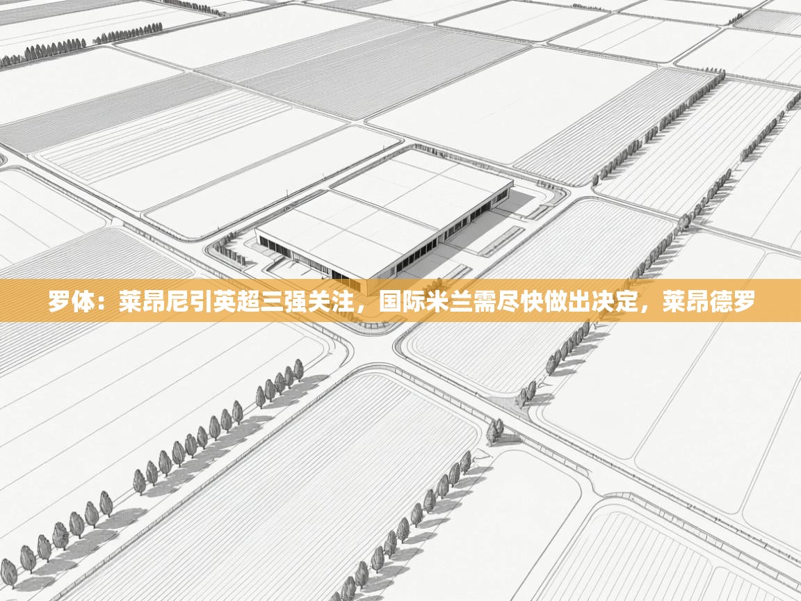 罗体:莱昂尼引英超三强关注,国际米兰需尽快做出决定,莱昂德罗 第1张