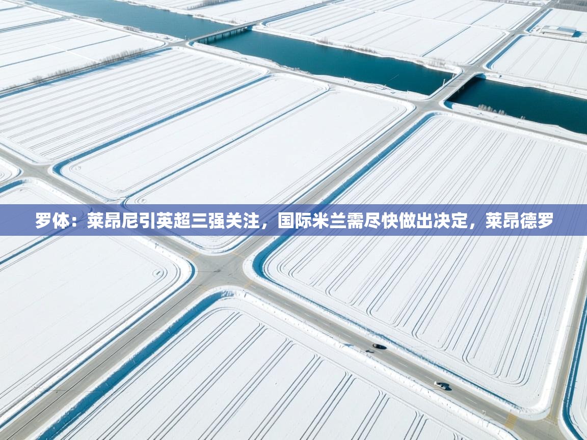 罗体:莱昂尼引英超三强关注,国际米兰需尽快做出决定,莱昂德罗 第2张