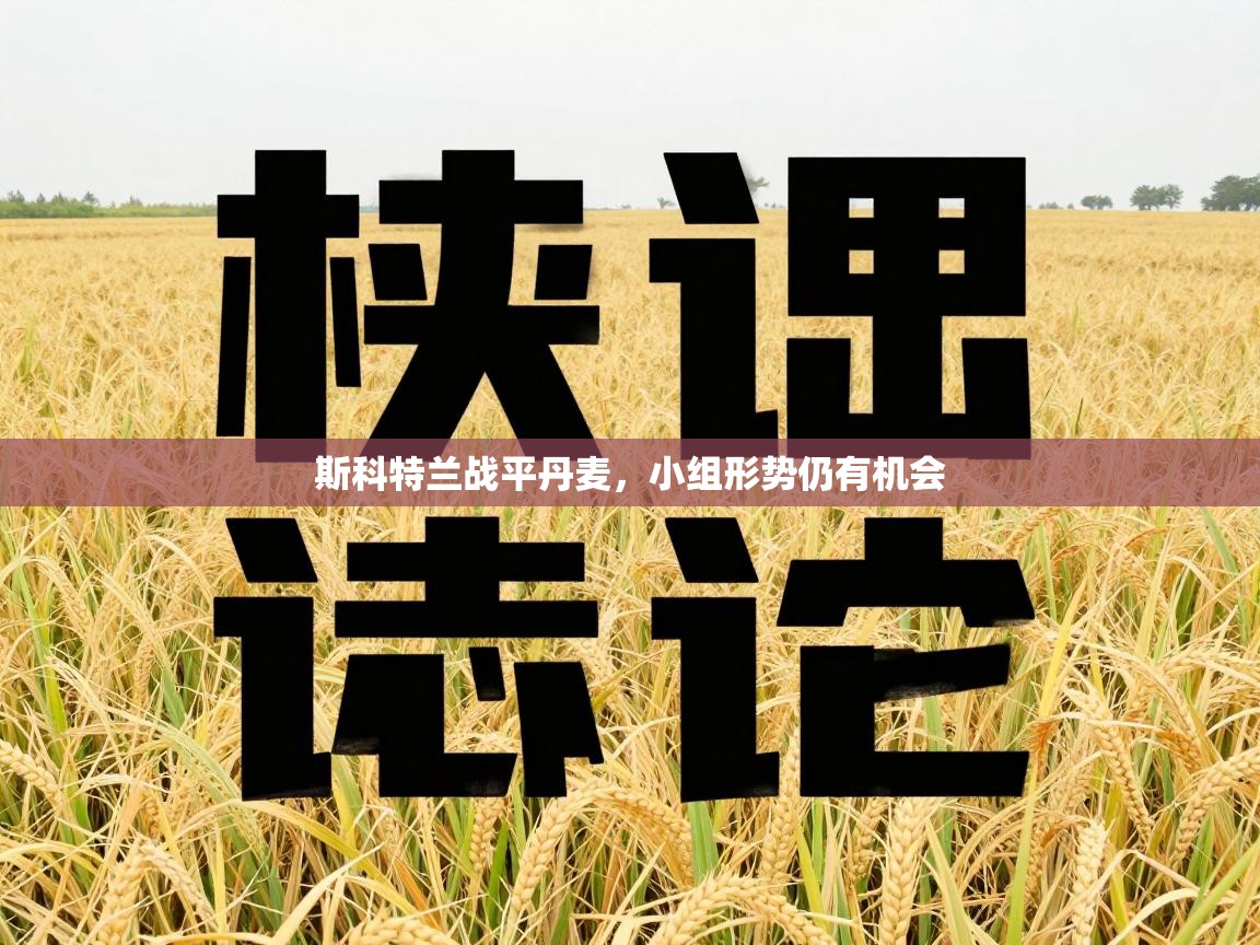 斯科特兰战平丹麦，小组形势仍有机会