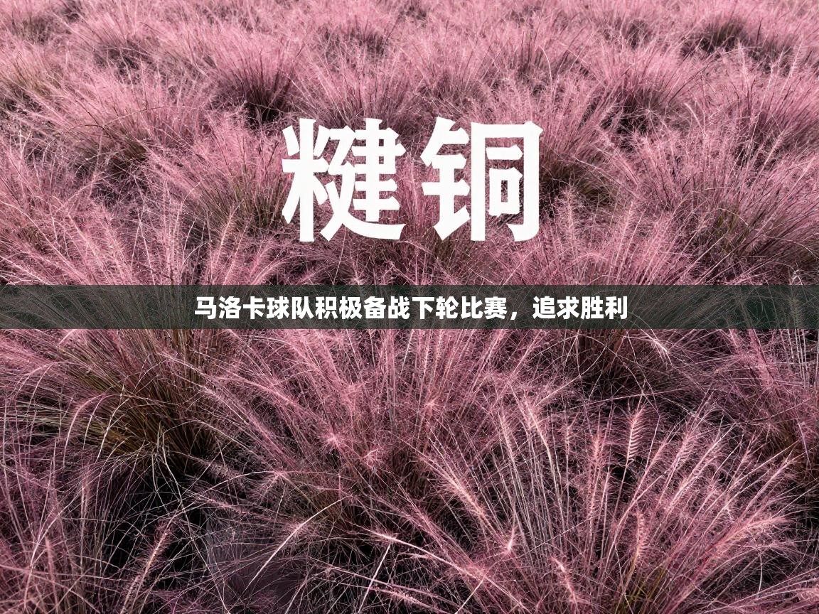 马洛卡球队积极备战下轮比赛，追求胜利  第1张