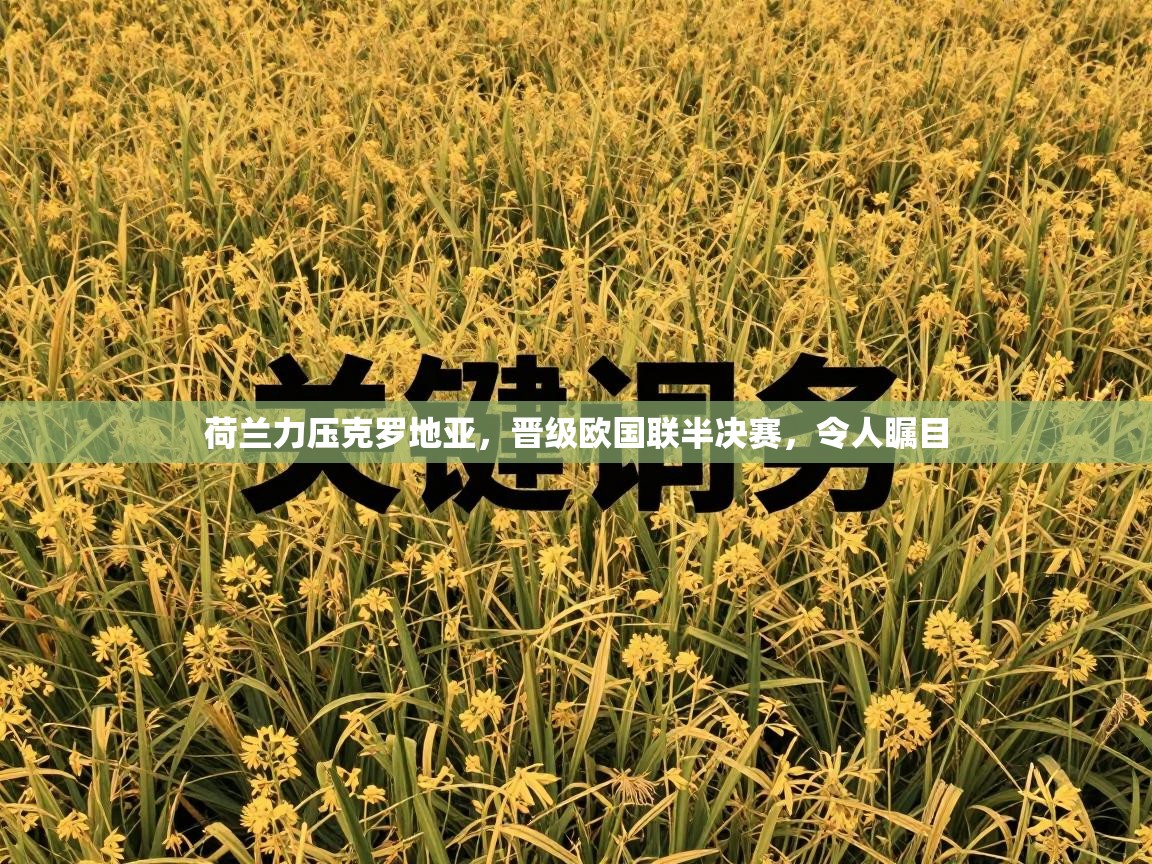 荷兰力压克罗地亚，晋级欧国联半决赛，令人瞩目  第2张