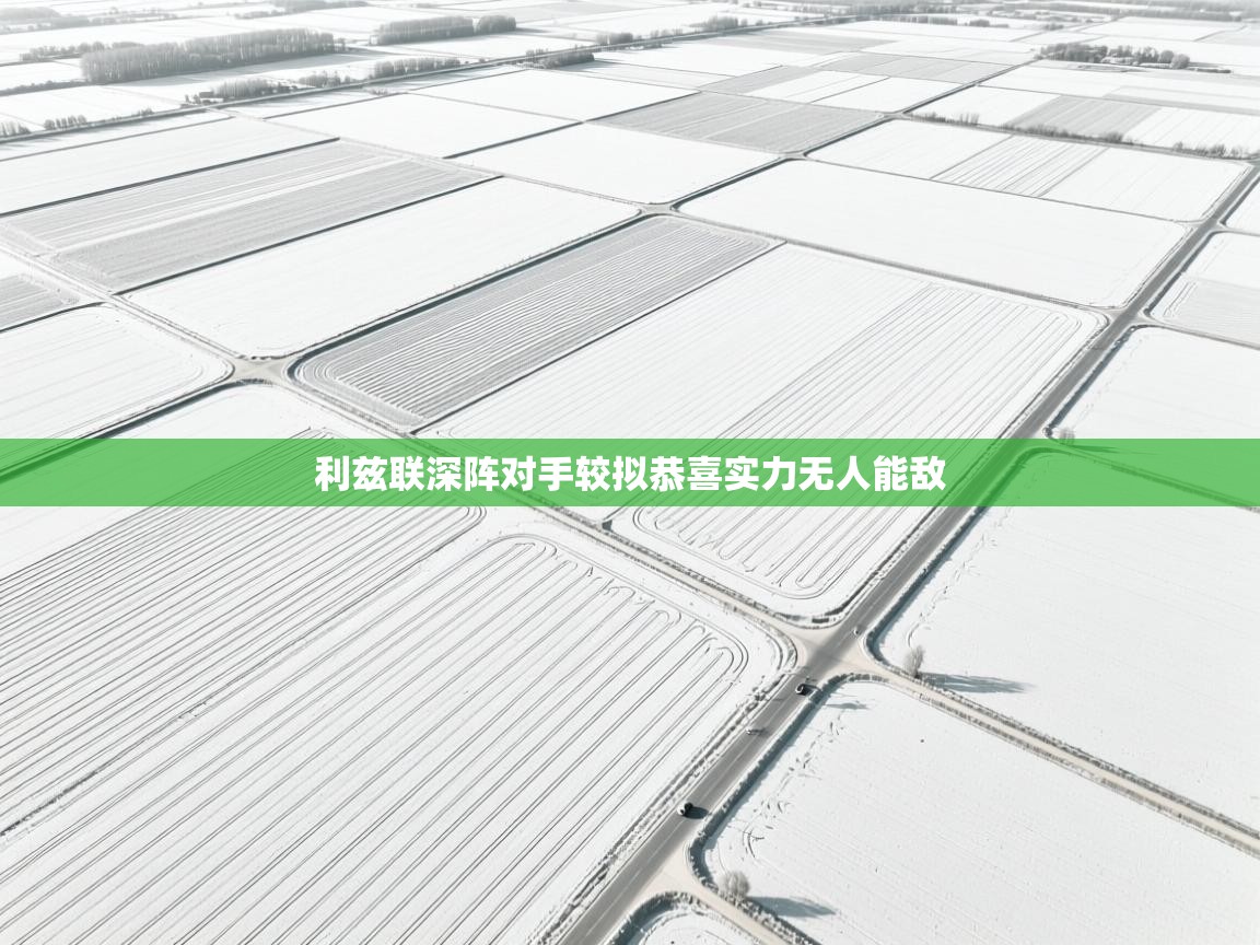 利兹联深阵对手较拟恭喜实力无人能敌  第1张