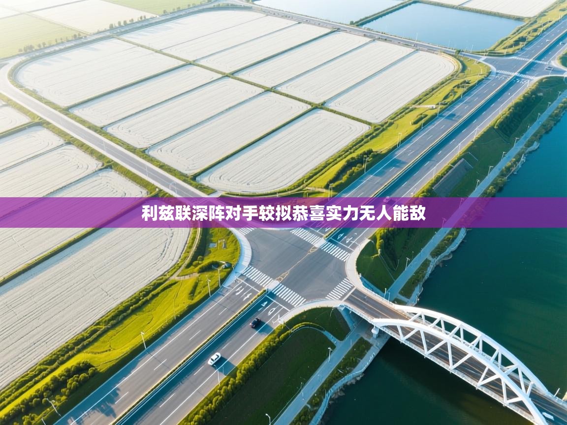 利兹联深阵对手较拟恭喜实力无人能敌  第2张