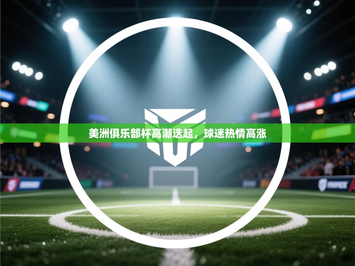 美洲俱乐部杯高潮迭起,球迷热情高涨 第1张