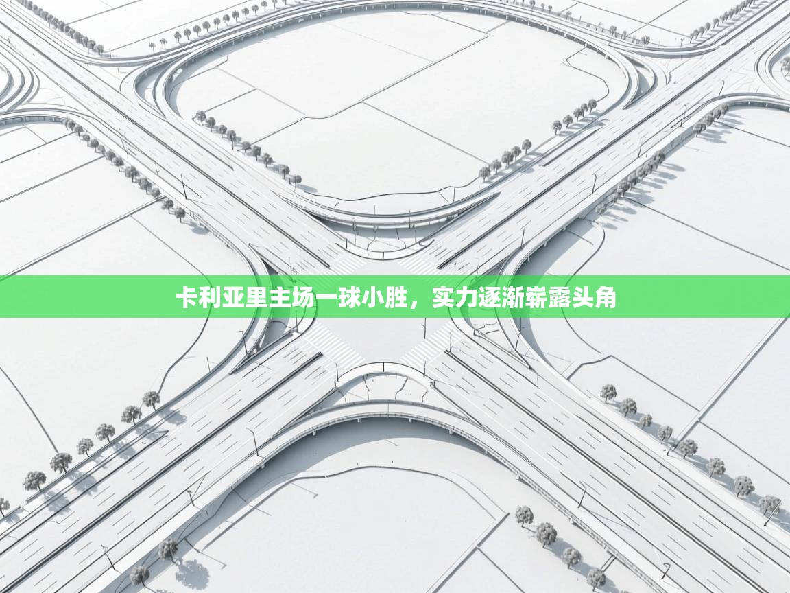 卡利亚里主场一球小胜，实力逐渐崭露头角  第2张