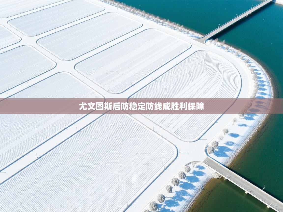 尤文图斯后防稳定防线成胜利保障 第1张