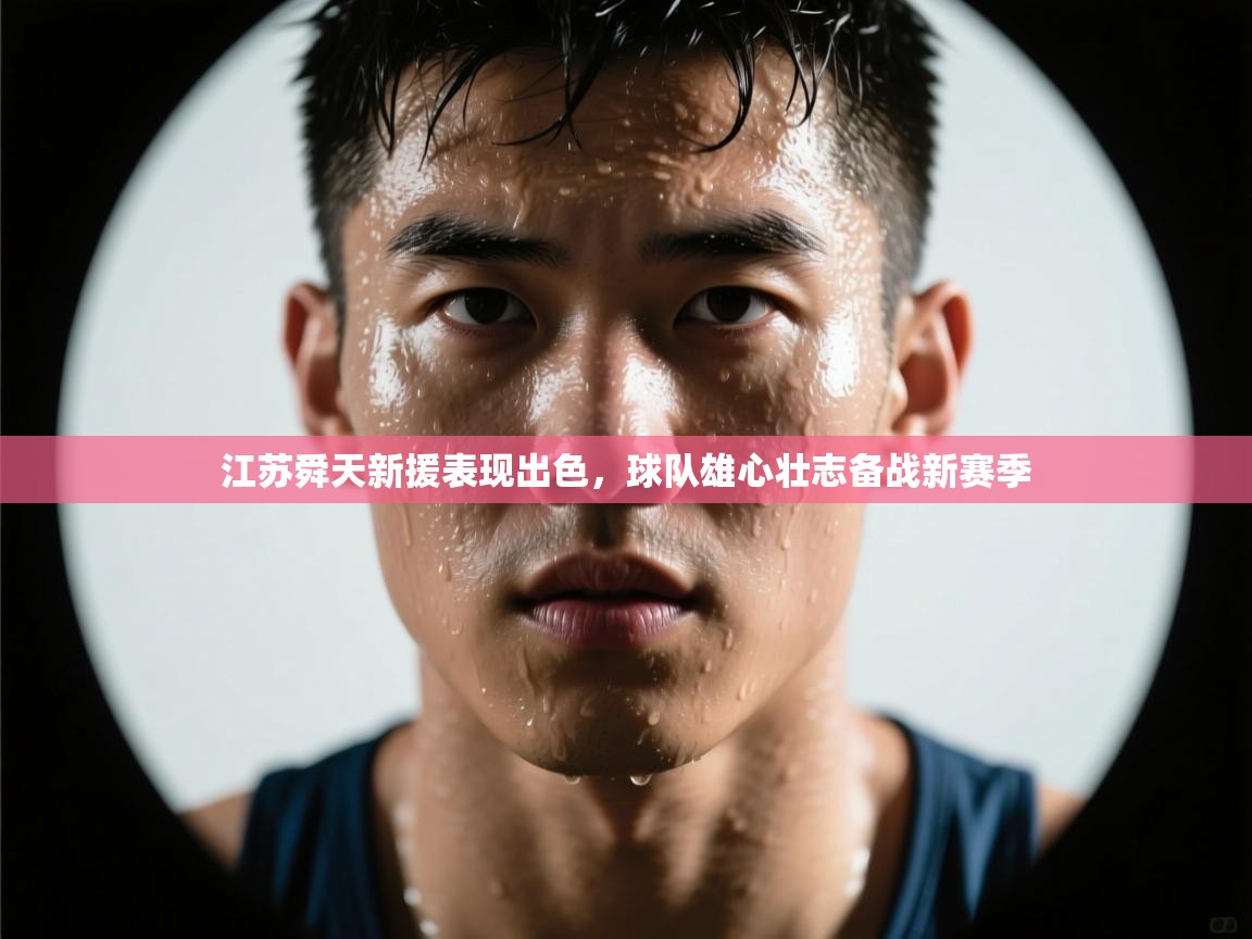 江苏舜天新援表现出色，球队雄心壮志备战新赛季  第1张