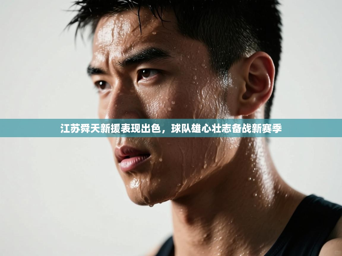 江苏舜天新援表现出色，球队雄心壮志备战新赛季  第2张