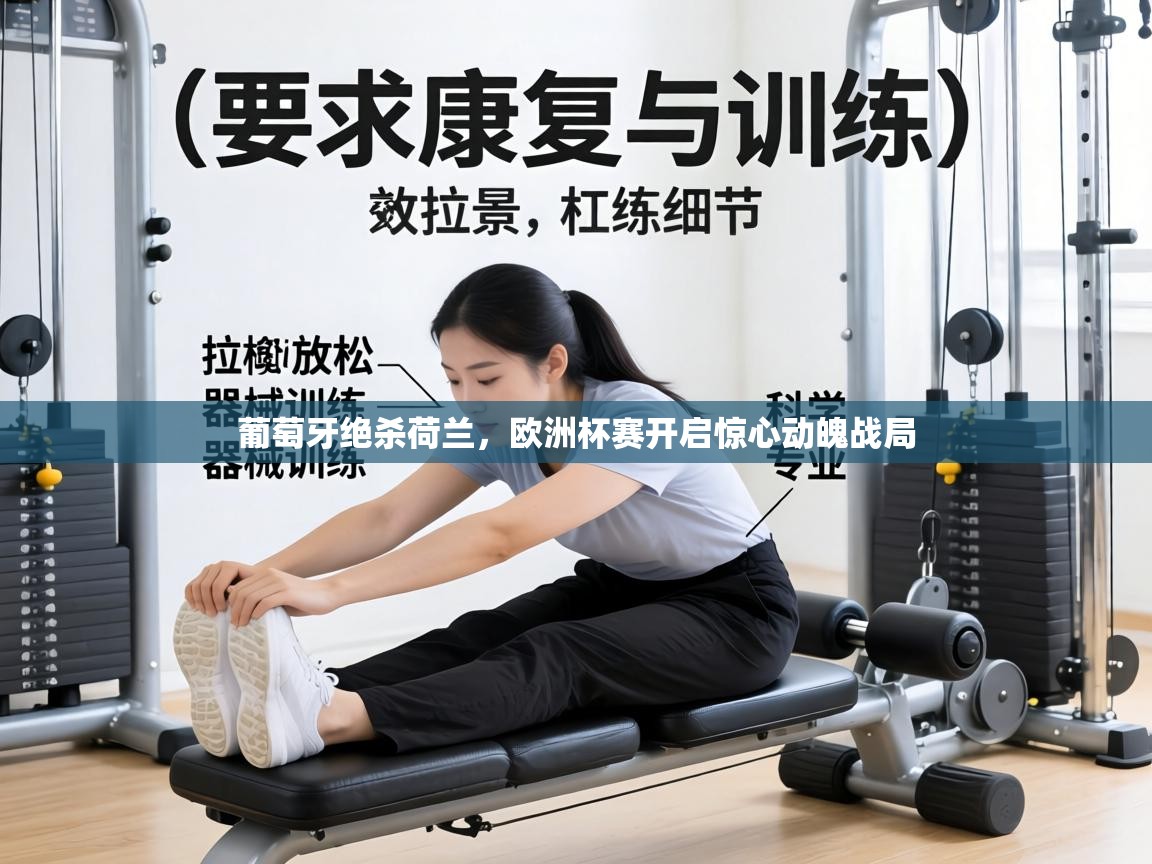 葡萄牙绝杀荷兰，欧洲杯赛开启惊心动魄战局  第1张