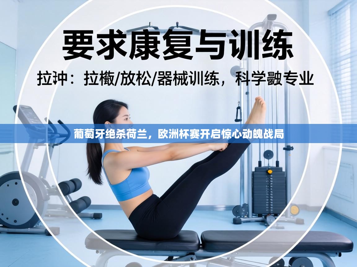 葡萄牙绝杀荷兰，欧洲杯赛开启惊心动魄战局  第2张